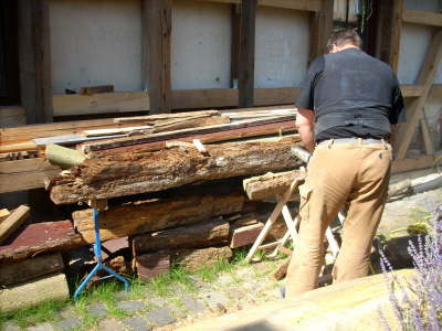 Holzschaden